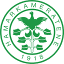 HamKam U19
