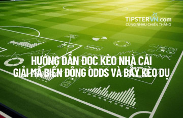 Hướng dẫn Đọc Kèo Nhà Cái: "Giải mã" Biến động Odds và Bẫy Kèo dụ