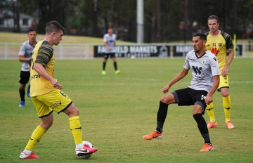 Nhận định, soi kèo Macarthur vs Wellington Phoenix, 14h45 ngày 21/11