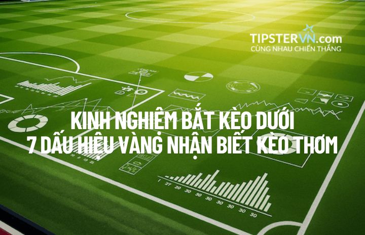 Kinh nghiệm cá cược bắt kèo dưới để tìm ra kèo thơm và value bet.