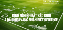 Kinh nghiệm Bắt Kèo Dưới: 7 Dấu hiệu "Vàng" nhận biết Kèo Thơm