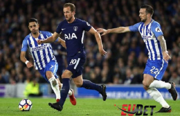 Nhận định, soi kèo Tottenham vs Brighton, 18h30 ngày 16/04