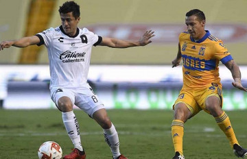 Nhận định soi kèo UANL Tigres vs Queretaro FC 7h00 ngày 18/08